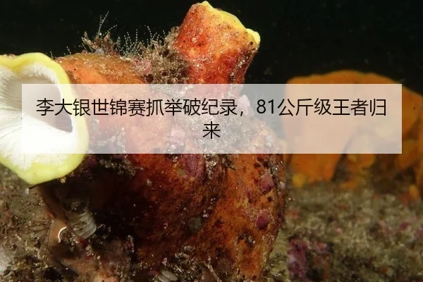 李大银世锦赛抓举破纪录，81公斤级王者归来