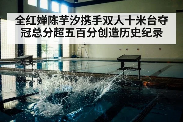 全红婵陈芋汐携手双人十米台夺冠总分超五百分创造历史纪录