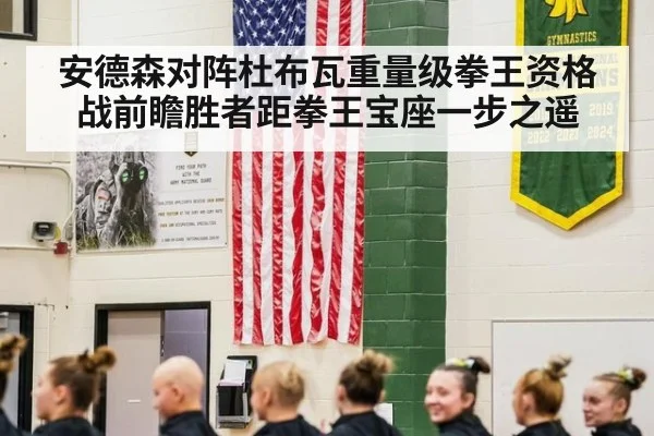 安德森对阵杜布瓦重量级拳王资格战前瞻胜者距拳王宝座一步之遥